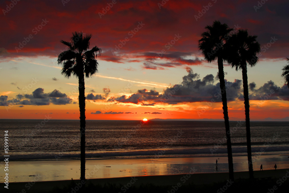 Naklejka premium Sunset San Clemente Pier with Palm Trees.