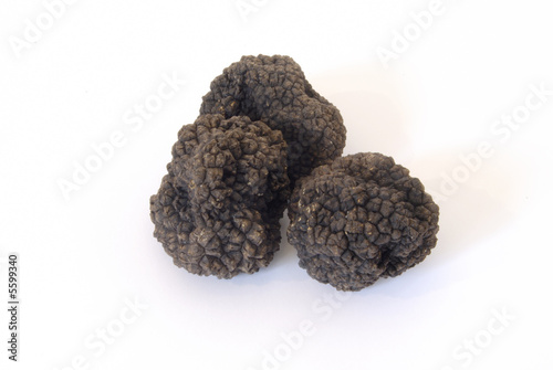 truffes