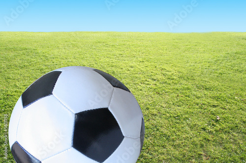 foot