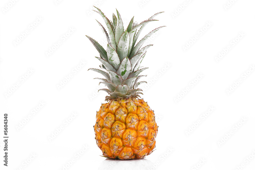 ananas ananas