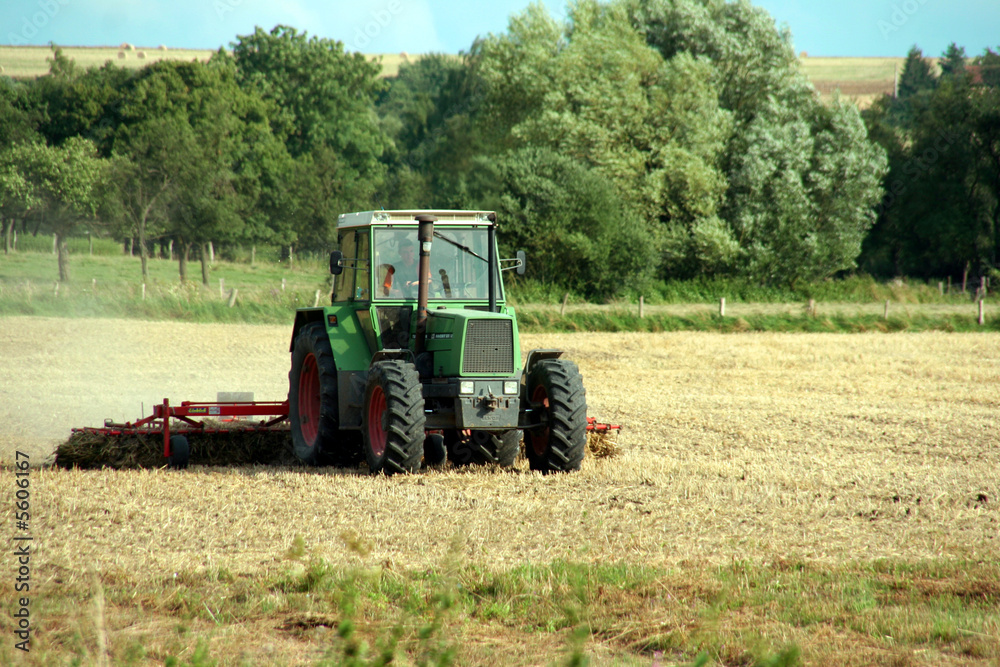 Harvesting Harvesting