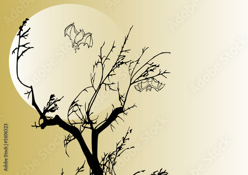 chauves souris au claire de lune