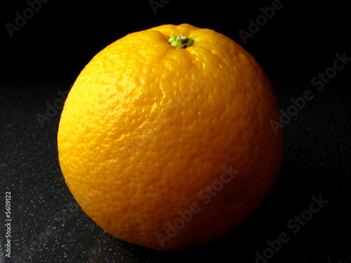 Orange Portrait