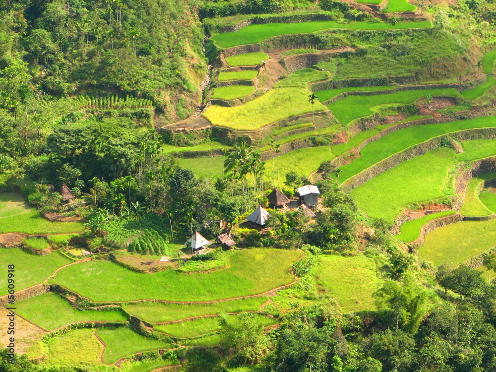 Ifugao Rice Terraces Village