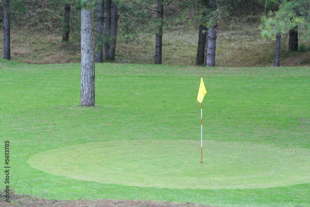 Obraz premium Golf