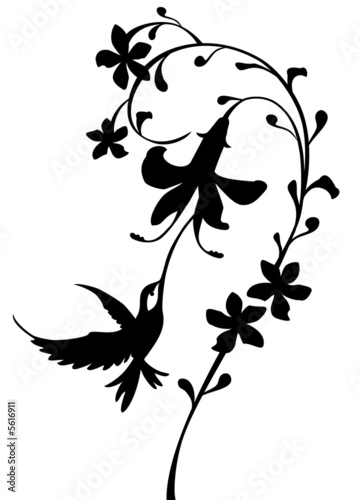 silhouette eines kolibris