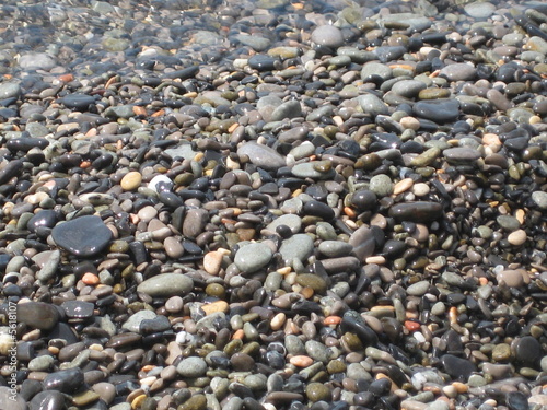 stony beach photo