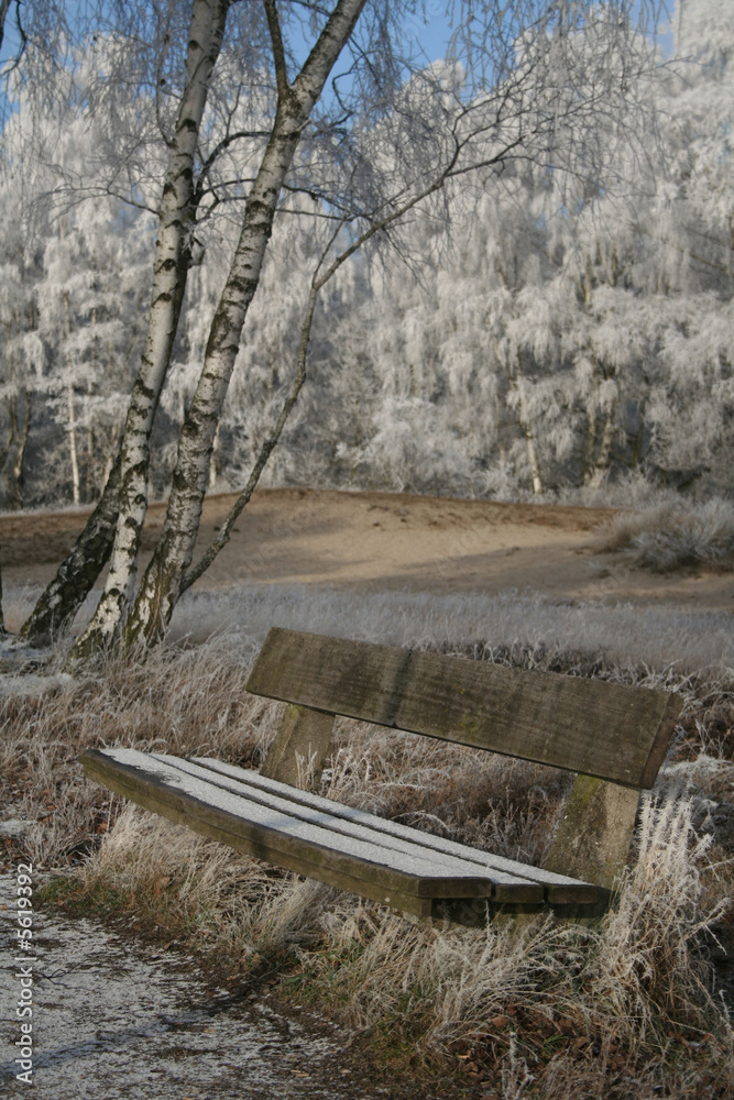 winter winter