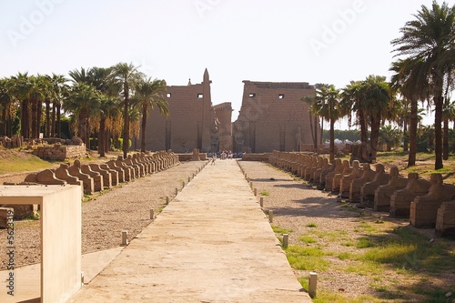 Schilderij op canvas Egypt - Luxor - view of temple