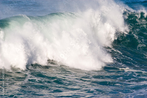 powerful ocean wave approaching coast