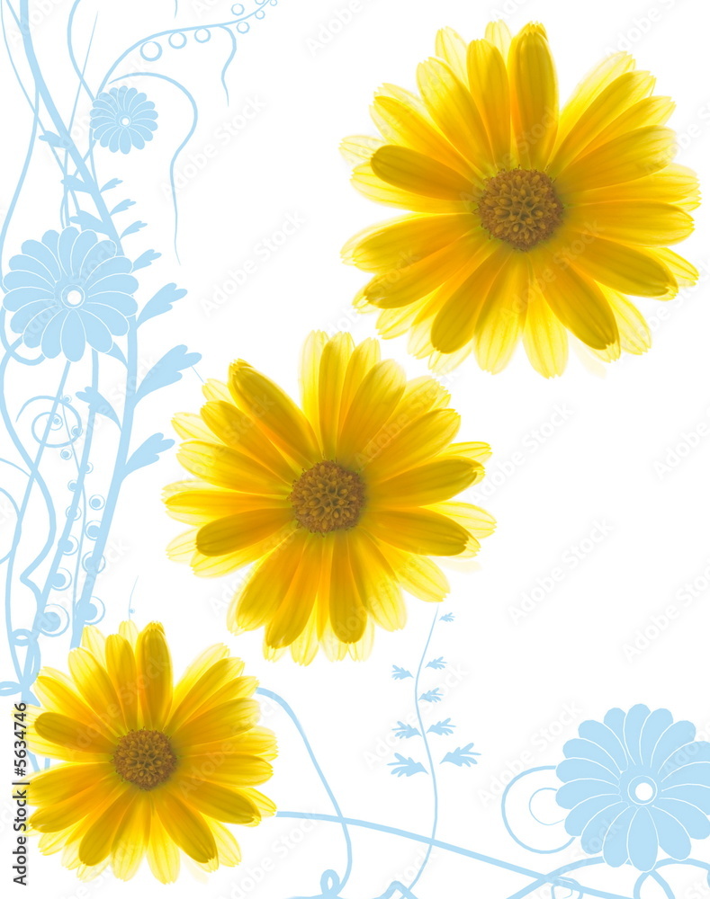 Obraz premium Yellow flowers on abstract blue background