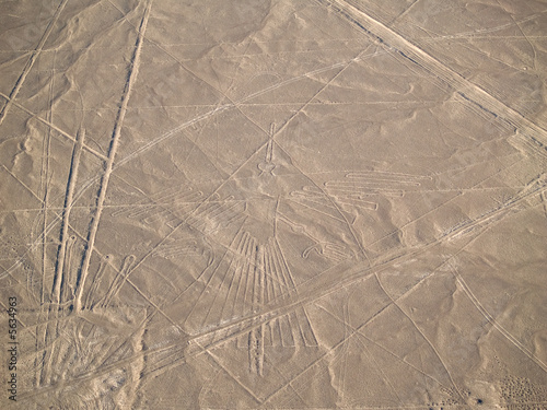 Schilderij op canvas Nazca Lines Peruvian Desert