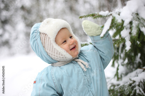 Winter joy - small kid stands next to snowy tree