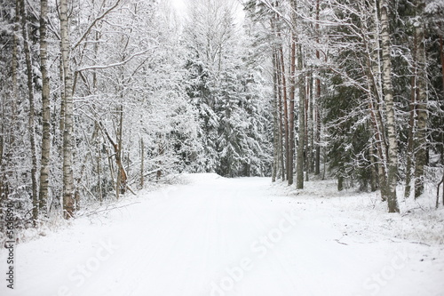 Typical scene of North Europe winter 