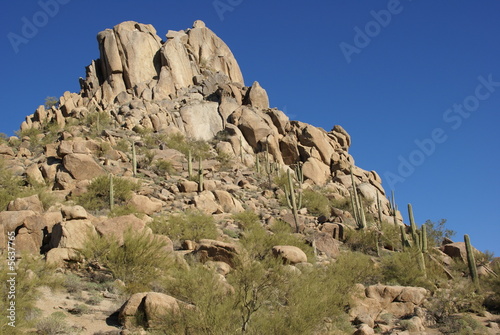 Rocky desert hill with cactai photo