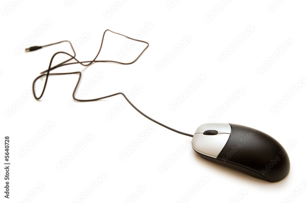 Computer mouse isolated on the white background Computer mouse isolated on the white background