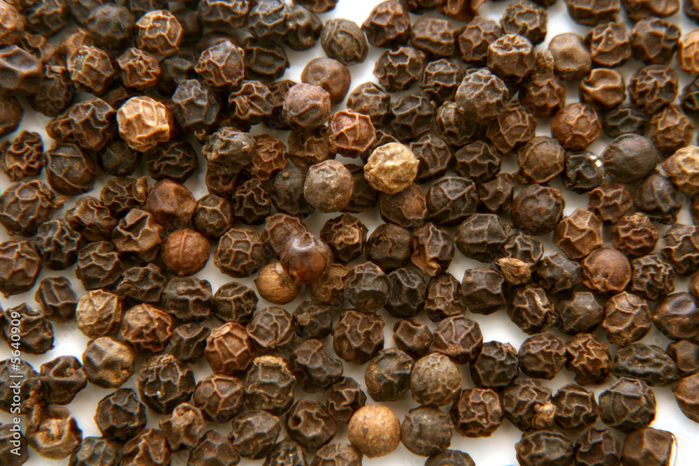 Pepper Pepper