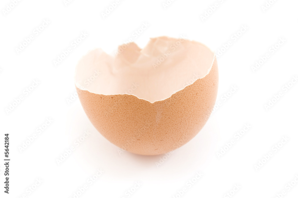egg egg