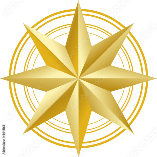 rose des vents en or