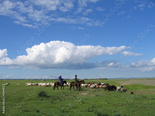 Steppe Mongole 1