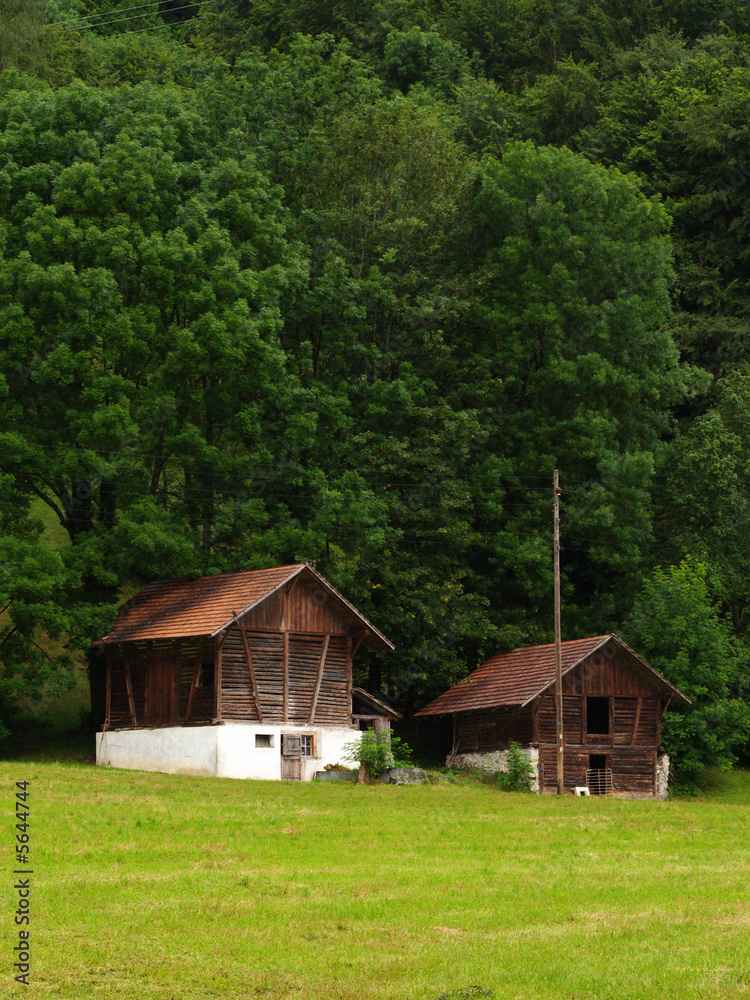 Two small Swiss barns with a backdrop of trees
