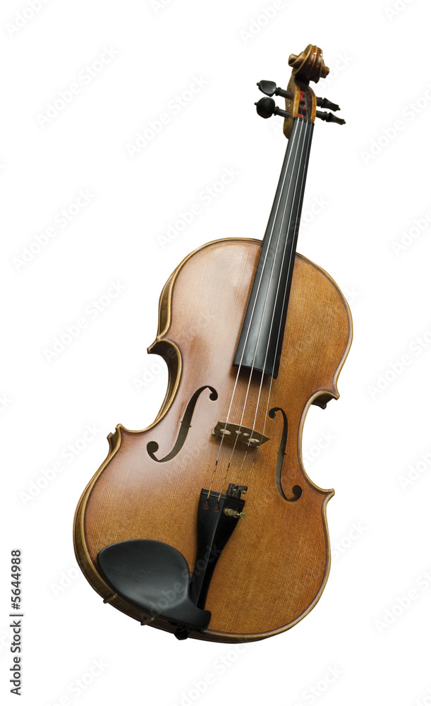 Obraz premium fiddle