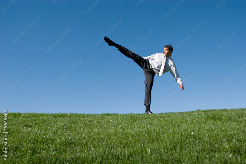Businessman doing karate moves on green grass