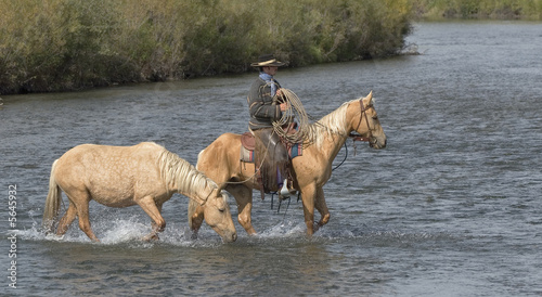 Canvastavla Cowboy with his palominos crossing river