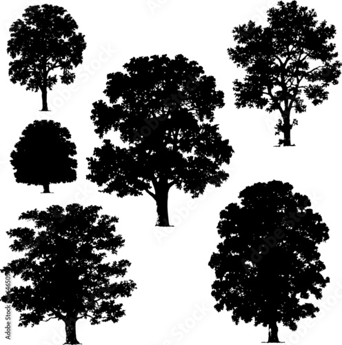 collection of trees