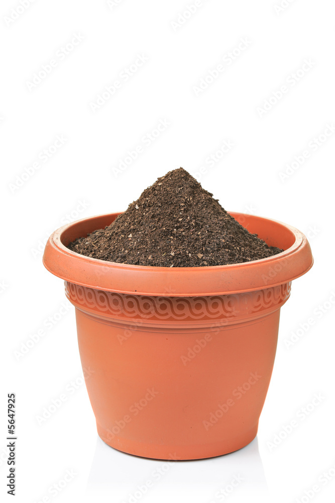 Flowerpot isolated on white