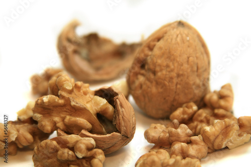 Some Walnuts isolated on a white background