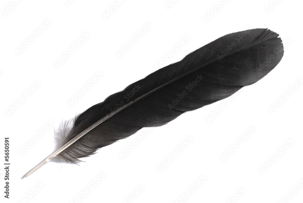 Feather Feather