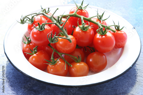 Cherry tomatoes, fresh-picked, in old enamel bowl.