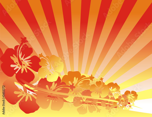 fondo hawaii