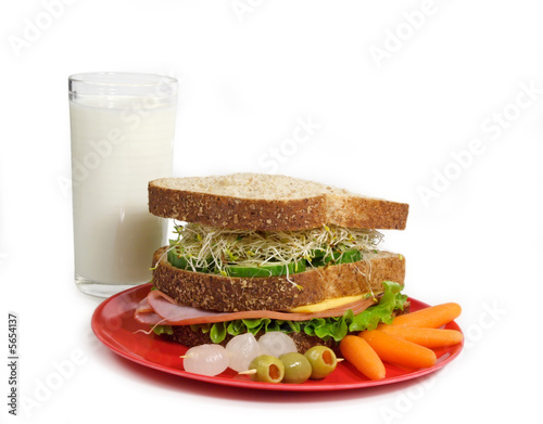 sandwich and milk