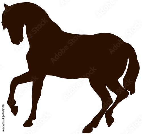 horse