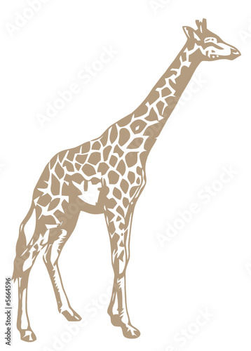 girafa