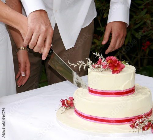 A Bride and Groom cutting their wedding cake together