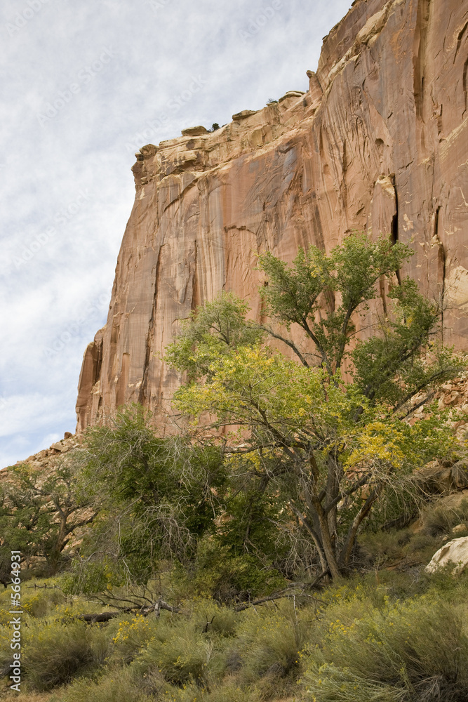 Capitol Reef National Park