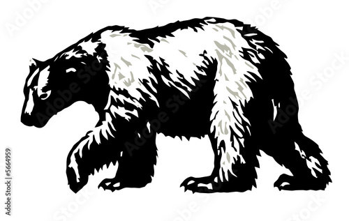 urso