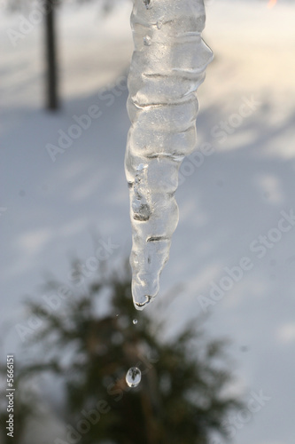 Icecycle