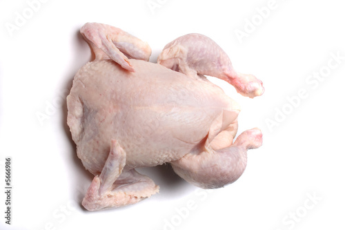 pink raw chicken on the white background