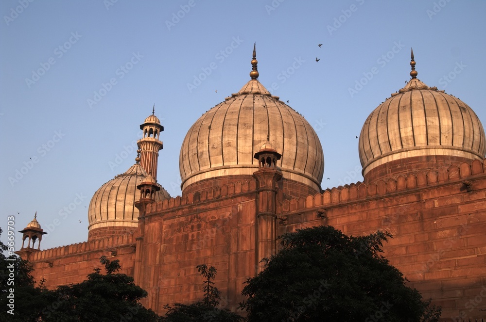 Friday Mosque, Delhi