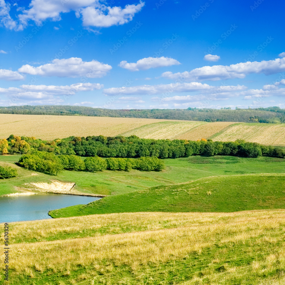 Obraz premium Lake, bulrush, blue sky, clouds.