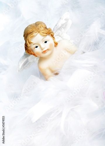  angel photo