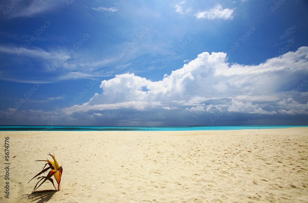 Tropical beach on the island in the Indian Ocean Tropical beach on the island in the Indian Ocean