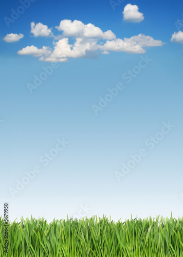 Green grass and blue sky with some clouds