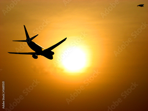 Flight into Sunset