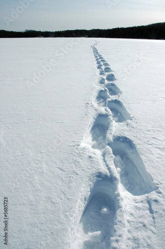 neige_0803