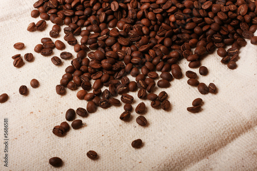 fresh coffee beans on canvas
